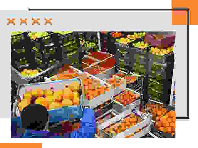 Перевозка скоропортящихся продуктов в Котельниках